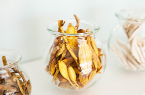 מה זה עצירות