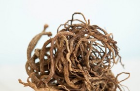 קוליטיס טיפול אלטרנטיבי בקליניקה של מאיה נאור