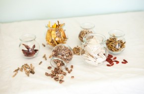 טיפול נגד עצירות