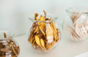 מדף של צמחי מרפא שממחישים מה לעשות כשיש עצירות