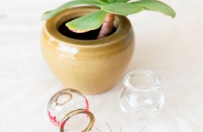 טיפול טבעי בגסטריטיס כרוני