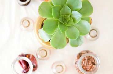 תמונת עמוד תסמונת בארט