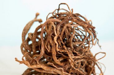 צמח יבש ושורט